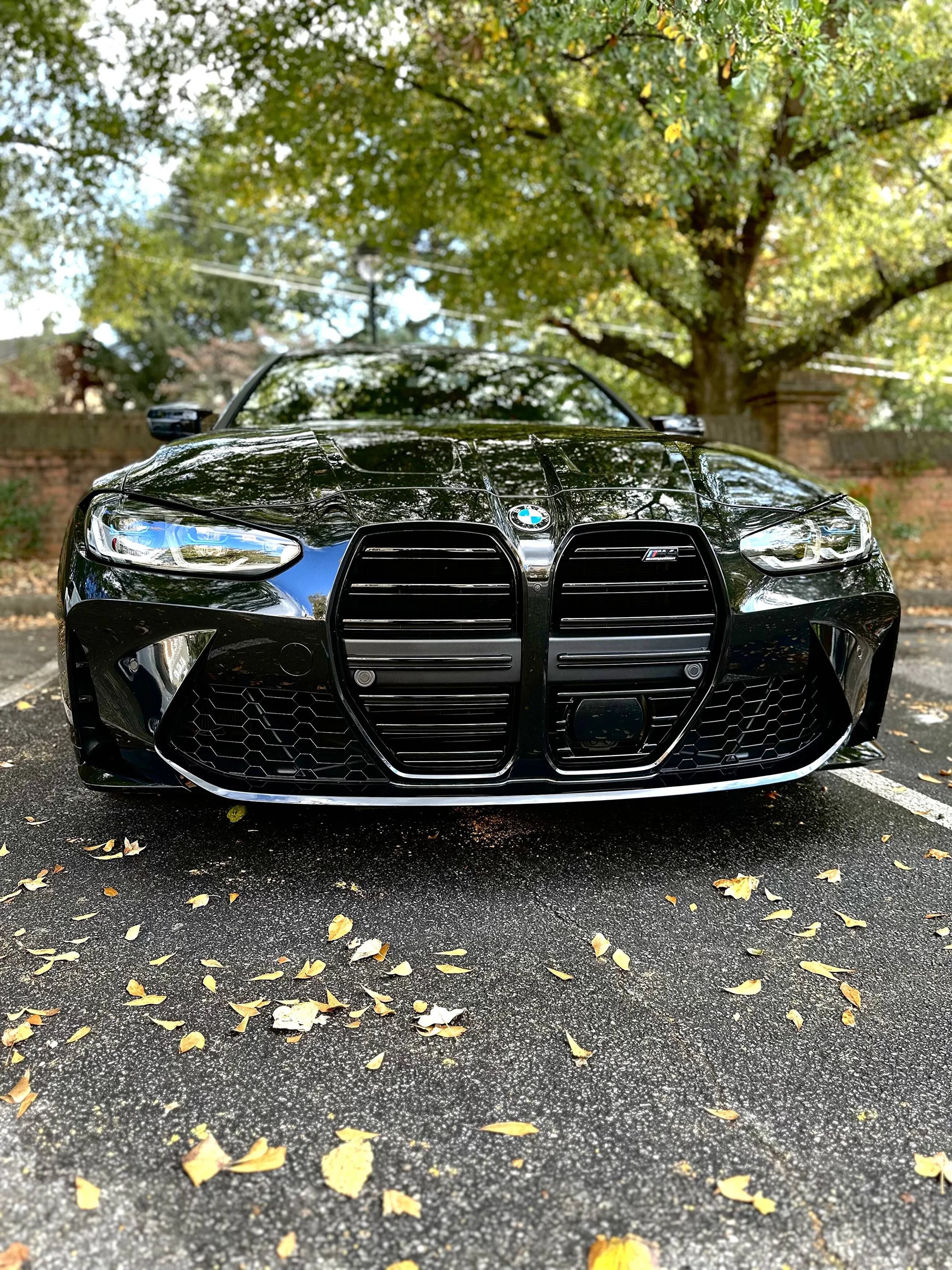 Freshly detailed BMW M4